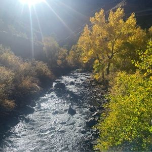 Meet your Posher, Sam